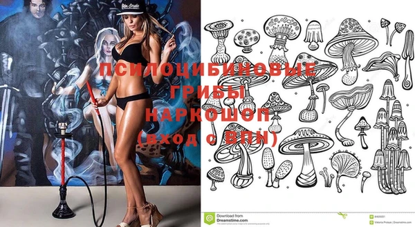 прущий лед Володарск